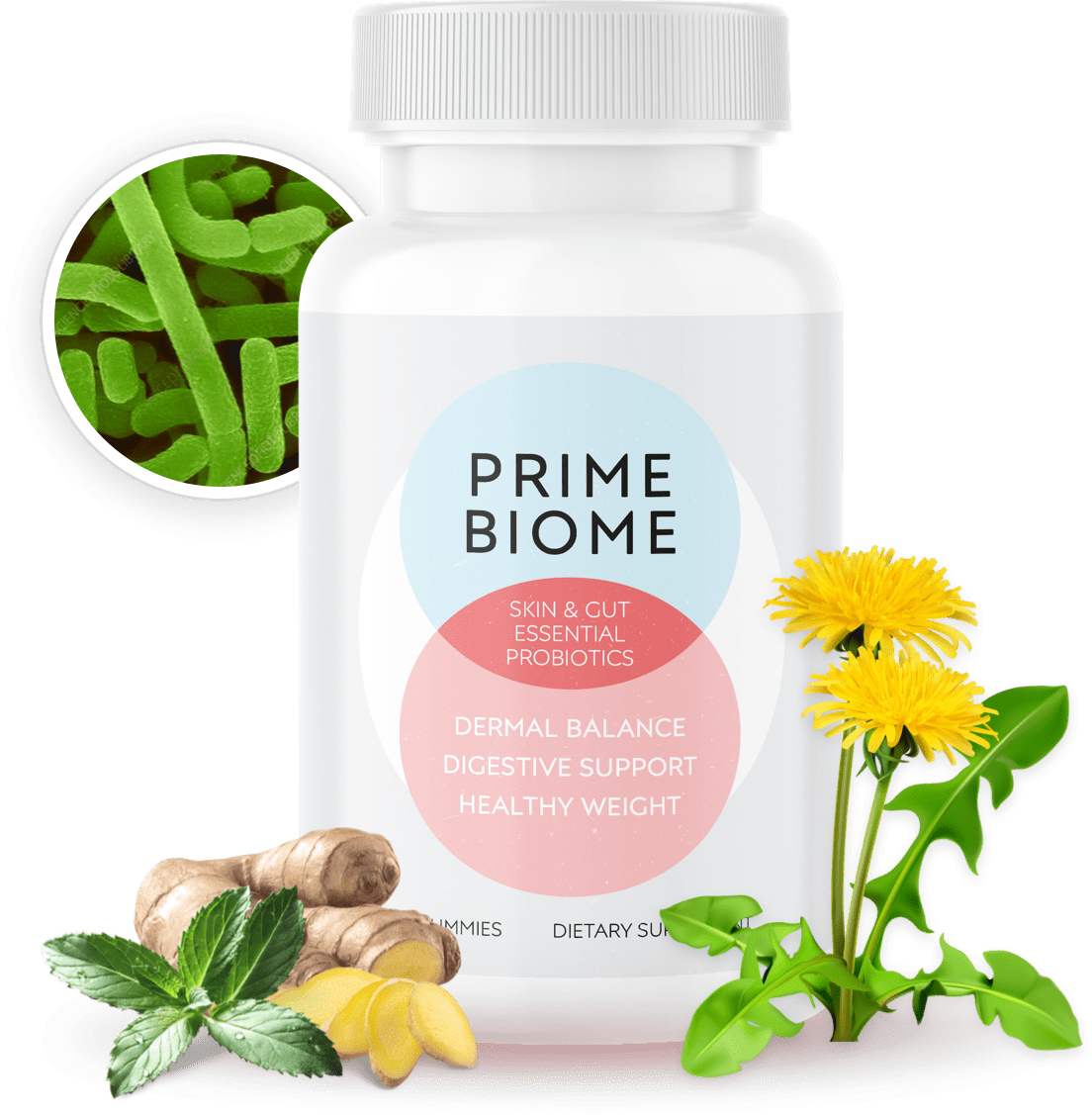 PRIMEBIOME